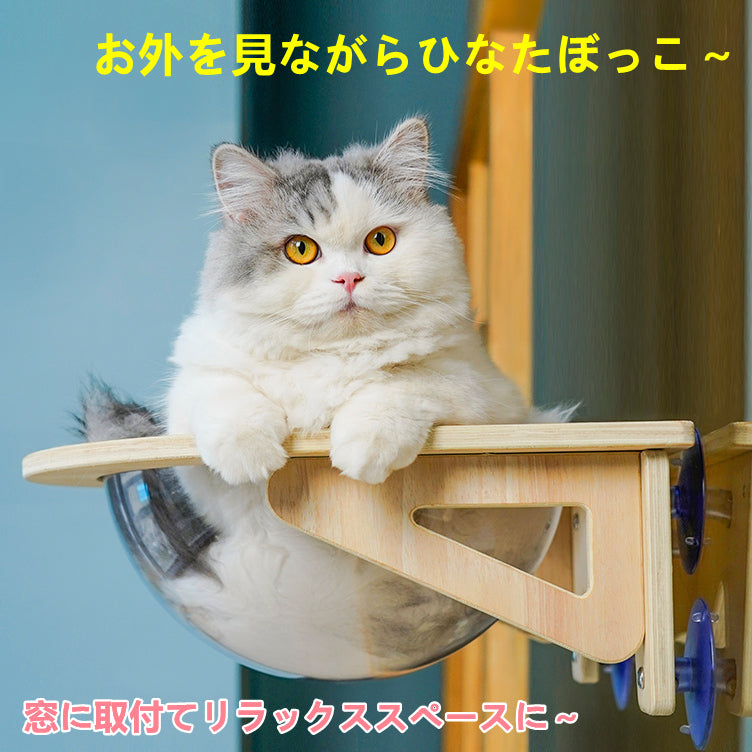 ペット用 猫 吸盤型 猫用 宇宙船 – YUCHONG